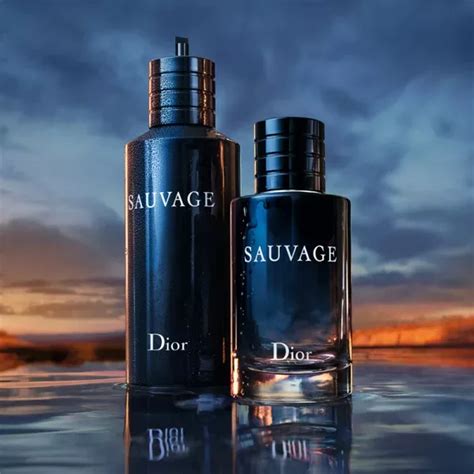 profumi simili a sauvage dior|dior sauvage fragrance.